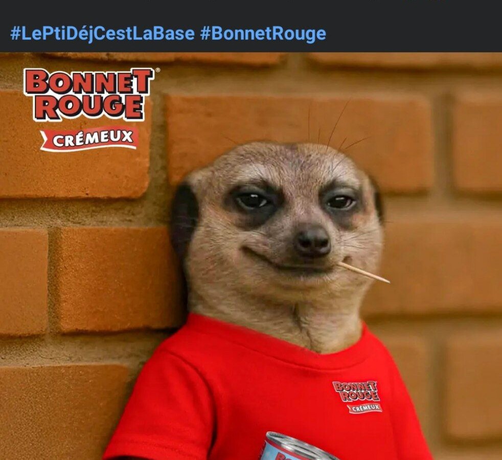 photo_2025-06-30_10-34-38